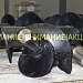 Внимание!!! Внимание!!! АКЦИЯ!!! Продолжается!!!!!