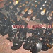 Шнеки телескопические